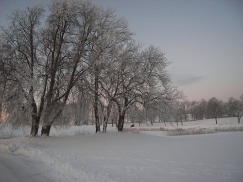 clip_image001