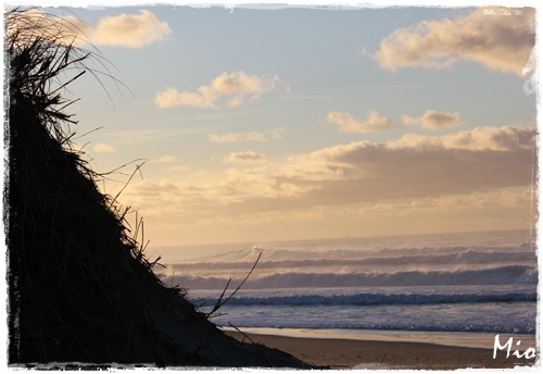 019borestranden1