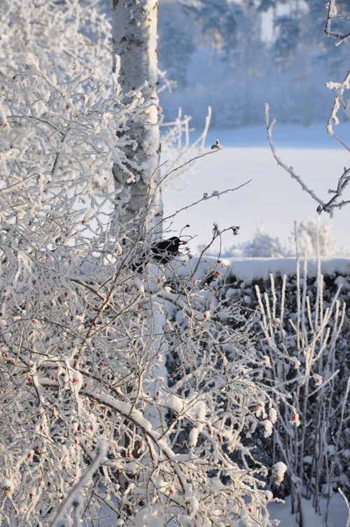 DSC_0192 DSC_0192