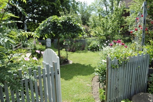 [Claus_20100709_094756_thumb[2][3].jpg]