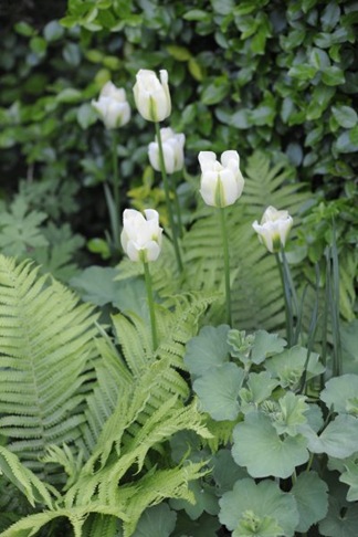 claus_20100526_181308