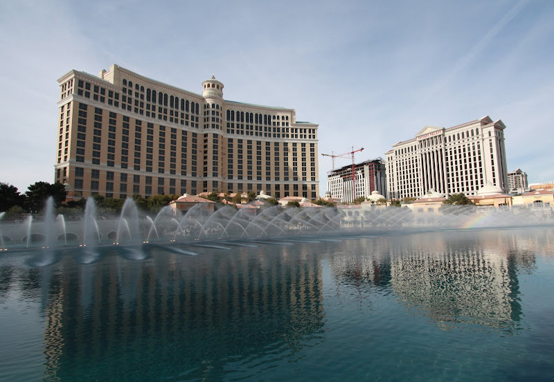 IMAGE: http://lh3.ggpht.com/_z5C-Yc-BZ5Y/SV6wvRH3KVI/AAAAAAAAAIs/oTMZJNnaiXM/s800/IMG_2488.jpg