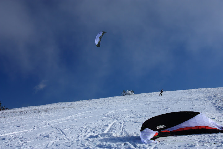 Sortie du 11/11 _MG_5744