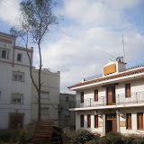 Sant Antoni 2009