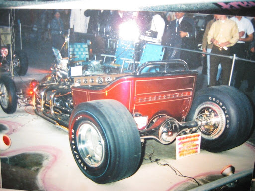 like a puppy or kitten or