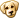 Cão
