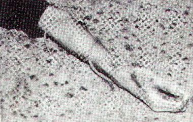 CHERYL KEETON CUNNINGHAM - CRIME SCENE PHOTOS CHERYL KEETON CUNNINGHAM - CRIME SCENE PHOTOS