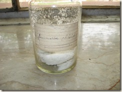 ammonium chloride specimen