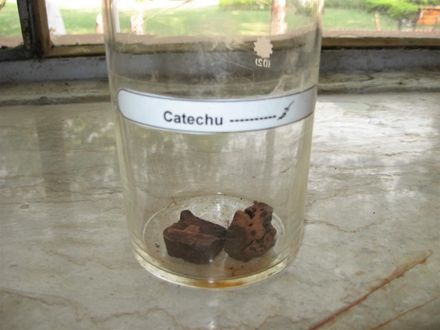 [catechu specimen in pharmacology lab[2].jpg]