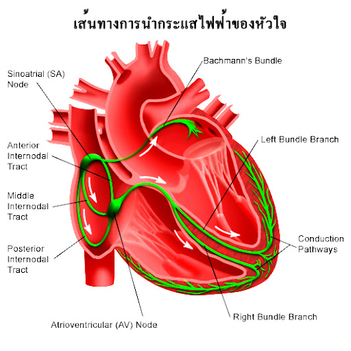 My Image 13