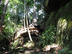 Escada de Pedra e raízes