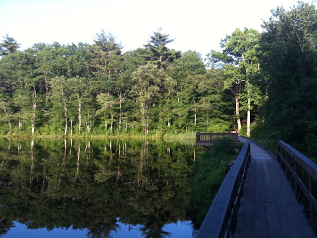 arcadia management area