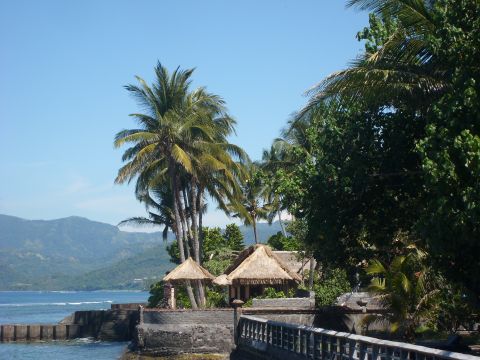 candi%20blick.jpg