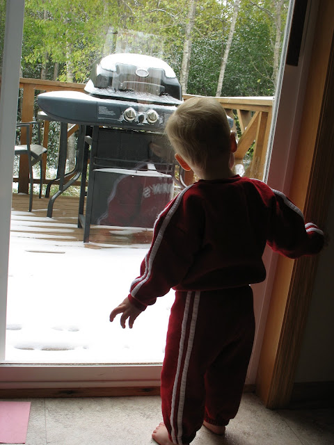 IMG_5906.JPG