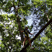 P1010673.JPG