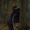 PA310103.JPG