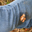 PA310220.JPG
