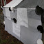 100_0646.JPG