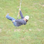 LaborDayFamCamp10 055.jpg