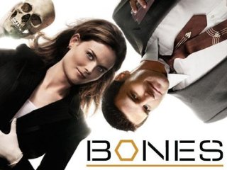 bones  imdb