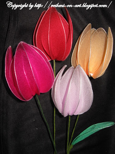 stocking-tulip-flowers