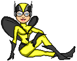 JR-Yellowjacket