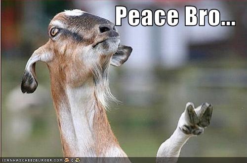 [funny-pictures-goat-gives-peace-sign[4].jpg]