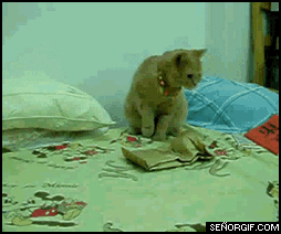 funny-animated-gifs-surprise