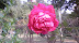 PB230512.JPG