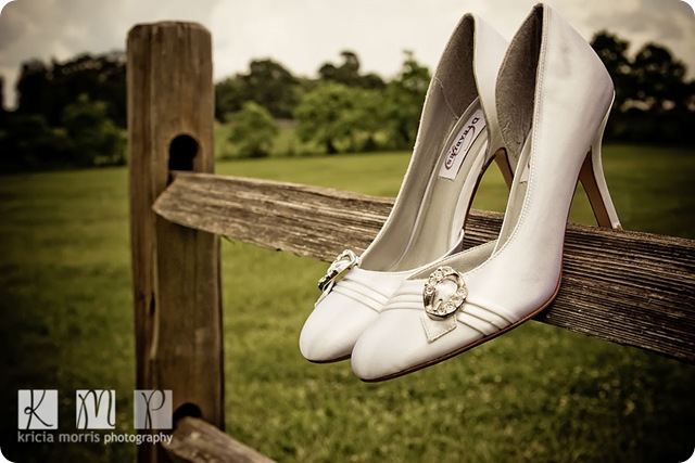 ShoafWdg06