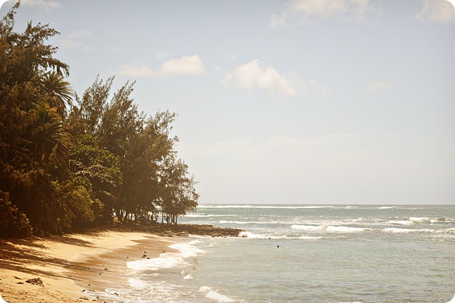 HawaiiBlog009