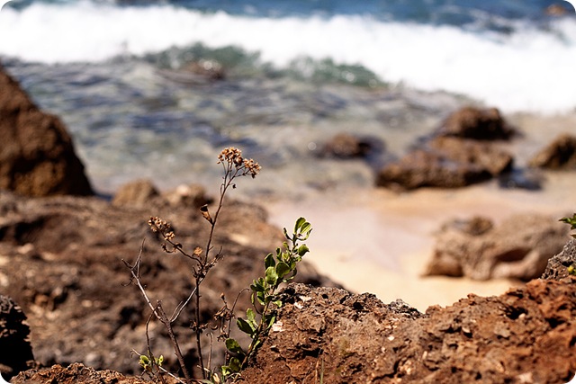 HawaiiBlog014