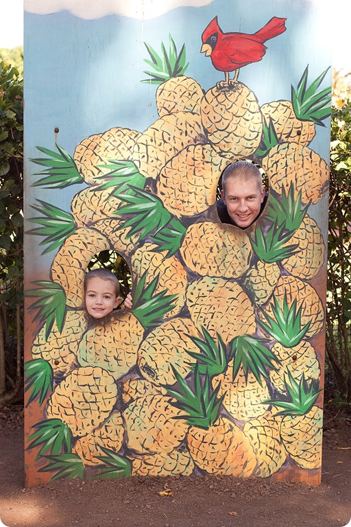 HawaiiBlog021