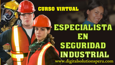 Digital Solutions Perú EIRL