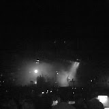 nin