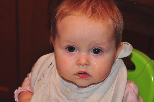 [DSC_0061[8].jpg]