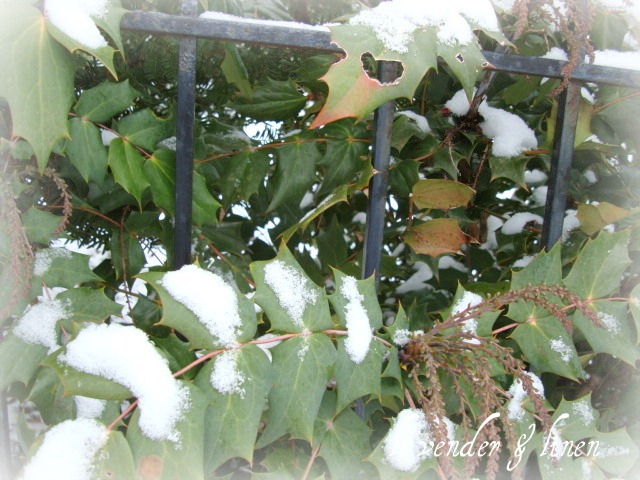 [Dec. 26, 2010 - snow 011[6].jpg]