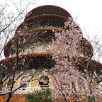 P3057058.JPG