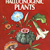 hallucinogenic plants - A golden Guide