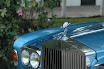 daniely06020.jpg