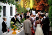 daniely-06-024-copie.jpg