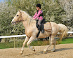 REPRI10H30SAM2009068copie.jpg