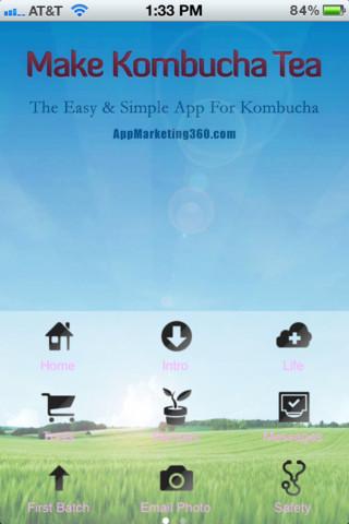 Make Kombucha Tea