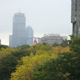 the famous CITGO sign