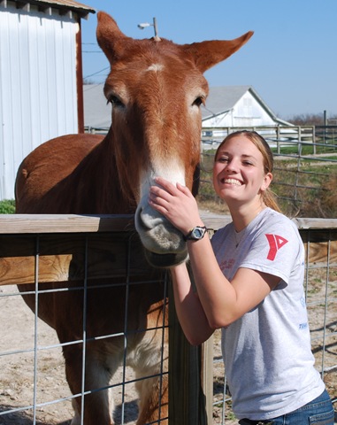 [Mule3[3].jpg]