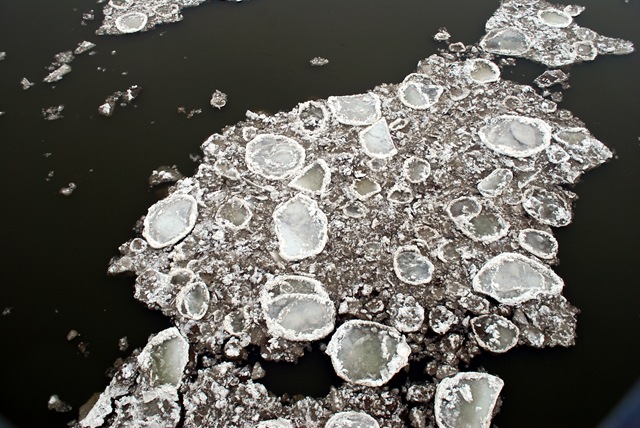 [River Winter3[3].jpg]