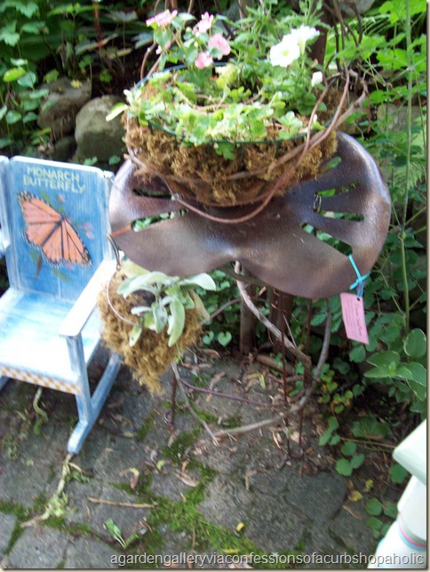 garden gallery 037