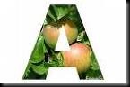 A.bokstav for apples A.bokstav for apples