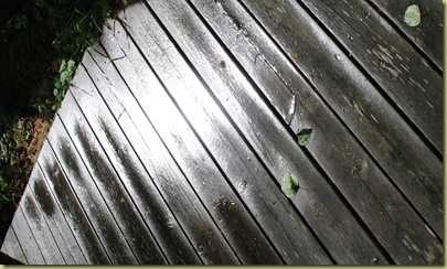 Platform in Sunlight