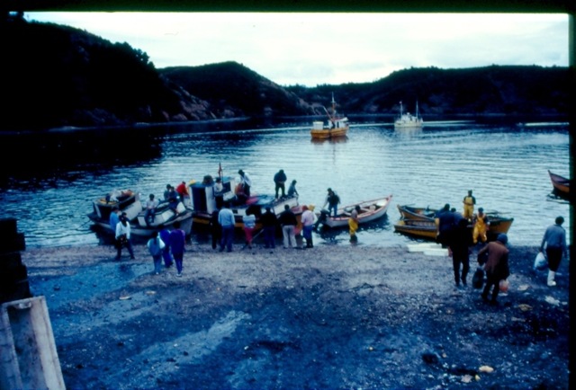 [Puerto Montt - fangsten skal i land[3].jpg]